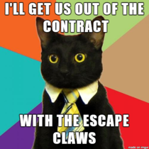 Business Cat reads the fine print