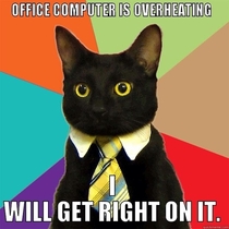 Business cat wants to help