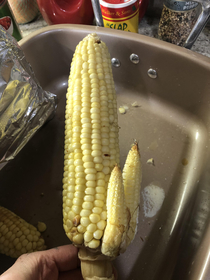 Called my corn a rabbit and the guys didnt get it
