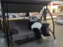 Came across this guy at Costco Looks exhausted