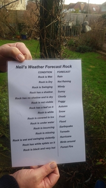 Came home for Christmas to find my dad has made himself a weather rock