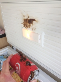 Can of coke exploded in the freezer and it looks like it has shit itself
