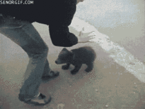 Cant run from a bear hug
