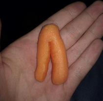 Carrot Pants