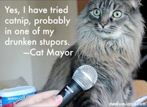 -Cat Mayor