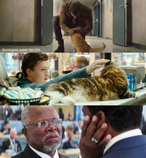 Cat pets in Marvel movies