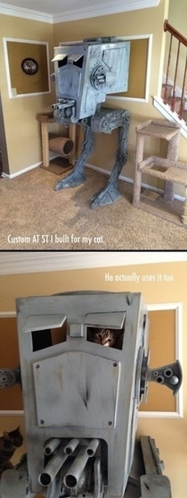 Cat playhouse level Star Wars