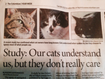 Cats Are Not Assholes They Just Dont Really Care About Us 