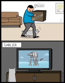 Cats are Star Wars fans - Comic by The Oatmeal