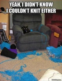 Cats attempt at knitting
