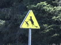 Caution Watch for dangerous Elk and small apathetic deer that wont help you