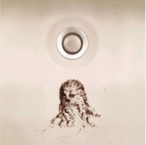 Chewbacca hair shavings art is the only type of art Im interested in