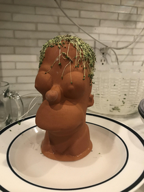 Chia died and now we have Travis Scott