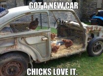 Chick magnet car