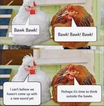 Chicken jokes
