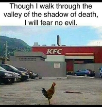 Chicken of Faith