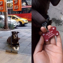 Chubby doggo begs for a slice of pizza outside a shop so often that his owner had to engrave a pet ID tag that says Dont give me pizza Thanks 