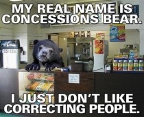 Concession Bear