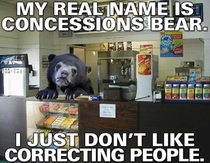Confession bear