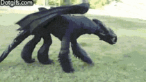 Cool toothless cosplay