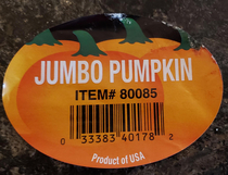 Costcos item  for Jumbo Pumpkins is the numeric equivalent of BOOBS