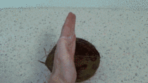 Cracking open a coconut by hand