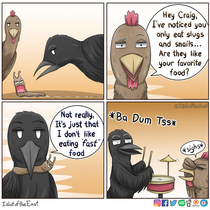 Craig the Crow