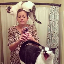 Crazy cat lady selfie