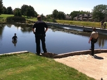 Criminal jumps in pond and the waiting game ensues