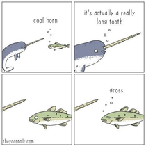 Cursed fish