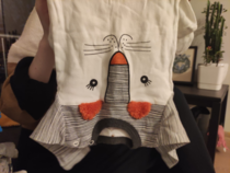 Cute tiger shirt for the baby gifted by an elder