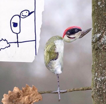 Dad creates his kids drawings in photoshop