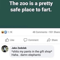 Damn elephants