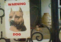 Dangerous dog