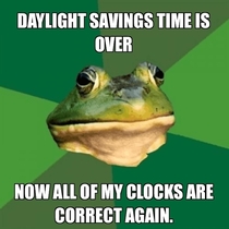 Daylight savings bachelor frog