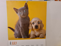 Decided to surprise my girlfriend by sticking googly eyes randomly for July on her cute calendar ages ago Turned it into a Burtonesque nightmare that she just discovered