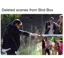 Deleted scenes from Bird Box