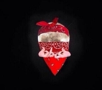 Did anyone else see the blood moon last night