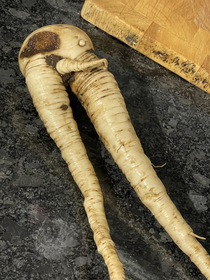Did you hear about the vegetarian who didnt want kids He got the parsnip