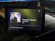 Didnt specify which song to use during testing of my Amazon Show setup Just asked to play a song from my Plex server Ended up rickrolling myself