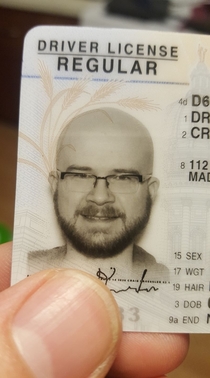Didnt think Id like my new REAL ID photo but they gave me a killer wheat comb over