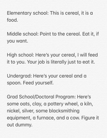 Different levels of education compared using the metaphor of eating cereal