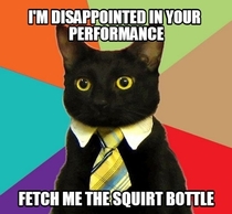 Disappointed Business Cat