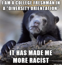 Diversity Awareness courses are garbage