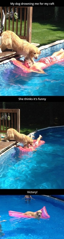Dog drowning human for the raft
