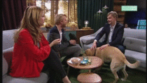 Dog humps the guest in a Danish Talkshow