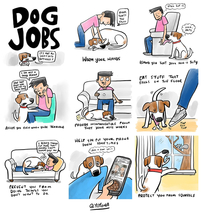 Dog Jobs