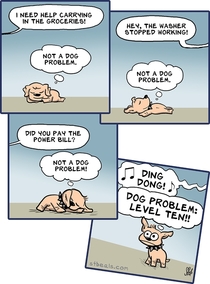 Dog Problems