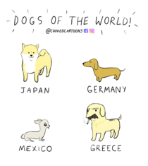 Dogs of the world
