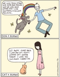 Dogs v Cats